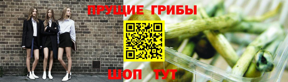 Галлюциногенные грибы Cubensis  Галлюциногенные грибы мухоморы  Будённовск  Вход с VPN 